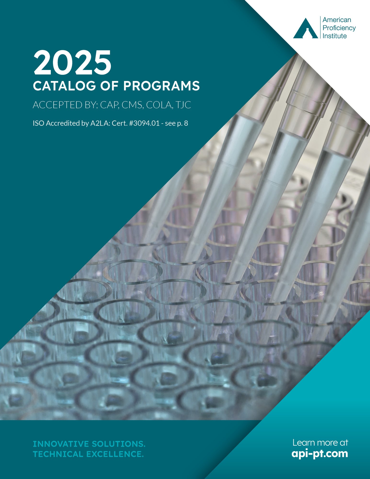 2025 API Catalog_Cover