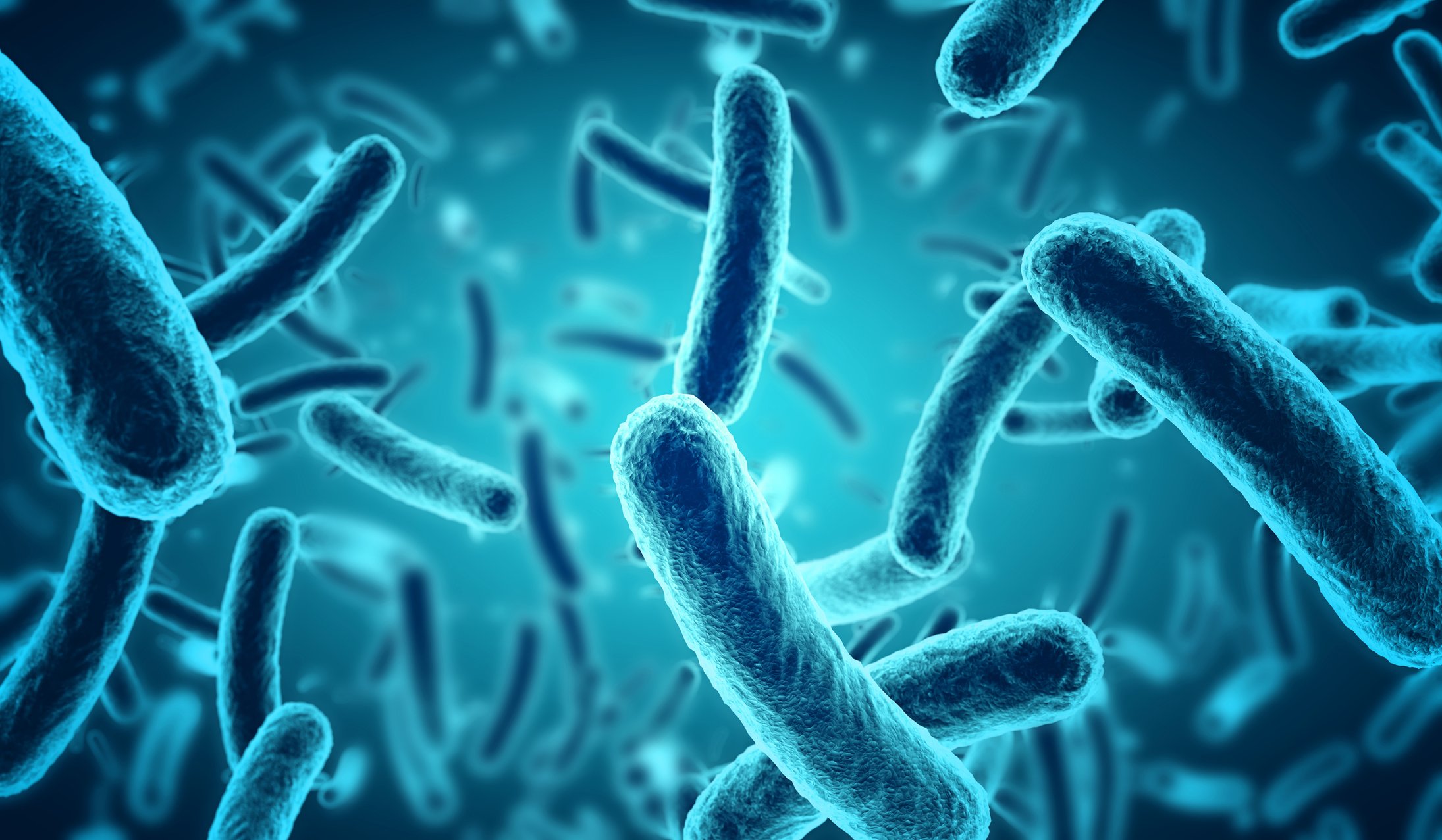 Laboratories' Ability to Detect and Identify Escherichia coli
